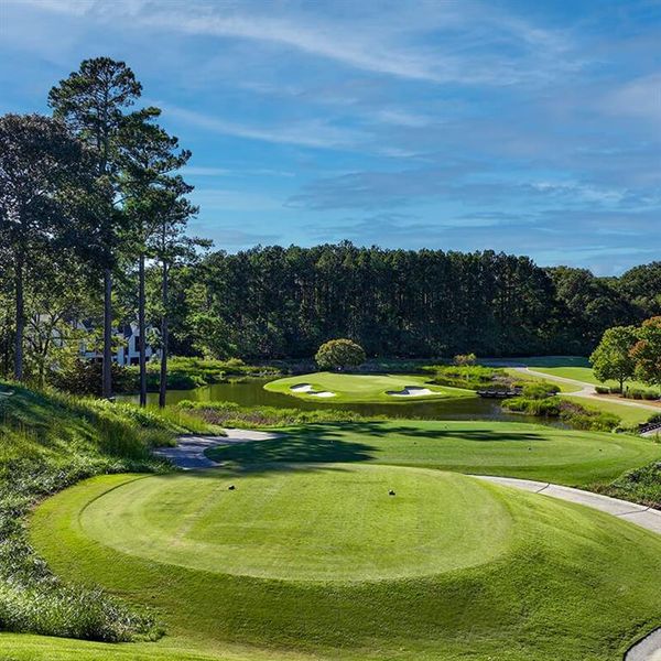 Natural landscape and outdoor views near  in Suwanee (Image 14).