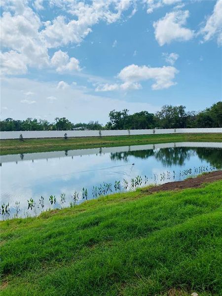 Natural landscape and outdoor views near Lakeview Crossing – Classic Series in Sarasota (Image 7).