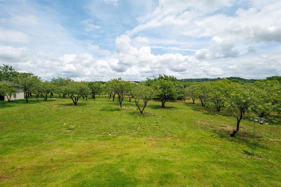 Natural landscape and outdoor views near in Cedar Hill (Image 28). Natural landscape and outdoor views near in Cedar Hill (Image 28).
