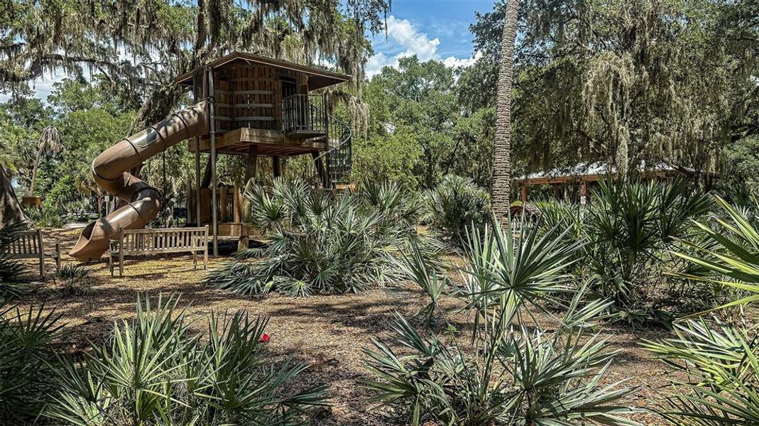 Community amenities in Waterstone, Groveland (Image 21).