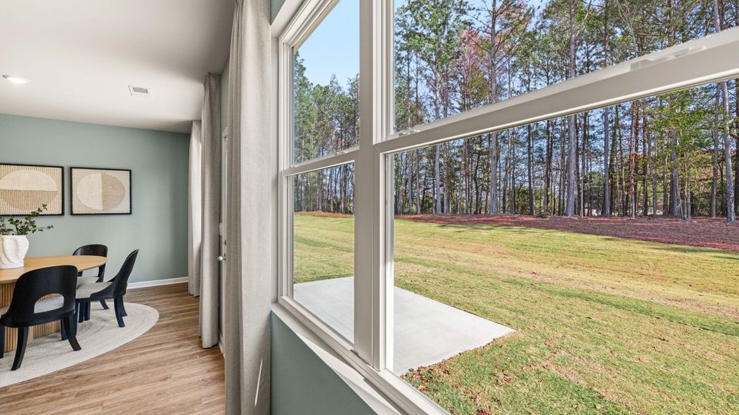 Representative exterior details of a home built from the ARIA Express by D.R. Horton in WillowBrook, Winder (Image 3).