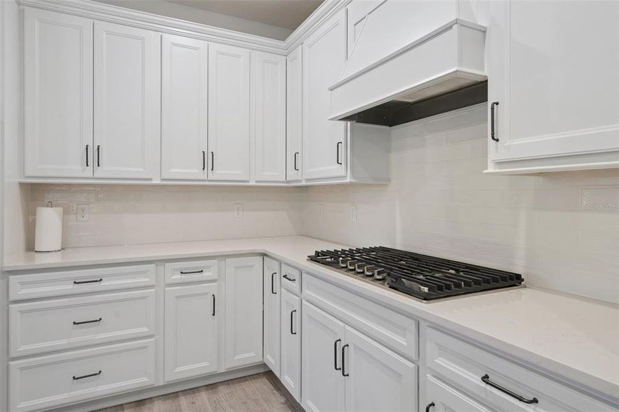 Furnished interior view inside a new home in , Minneola (Image 17). Furnished interior view inside a new home in , Minneola (Image 17).