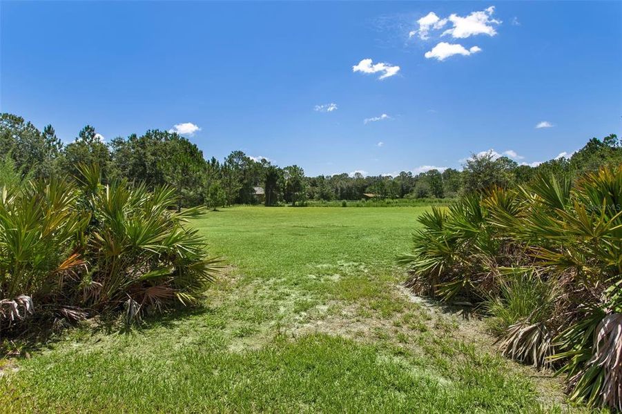 Natural landscape and outdoor views near  in Wesley Chapel (Image 52).