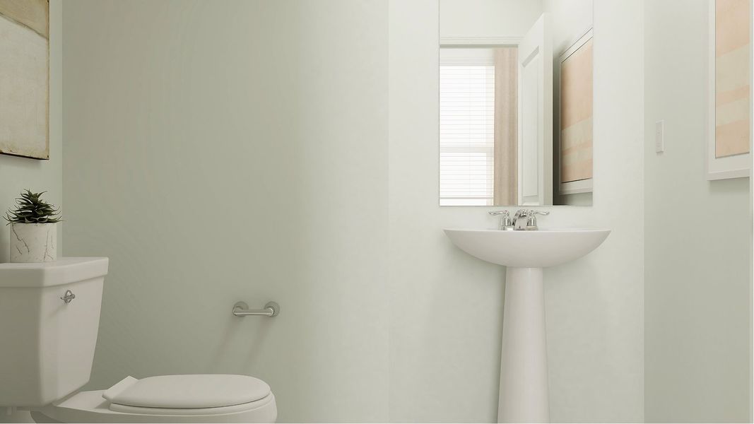 Rothman Core G003 Cypress Powder F1 Base2