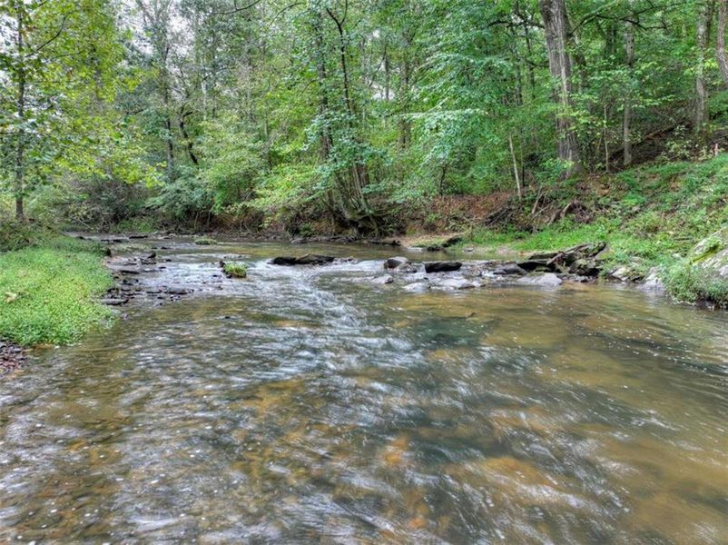 Natural landscape and outdoor views near  in Ellijay (Image 44).