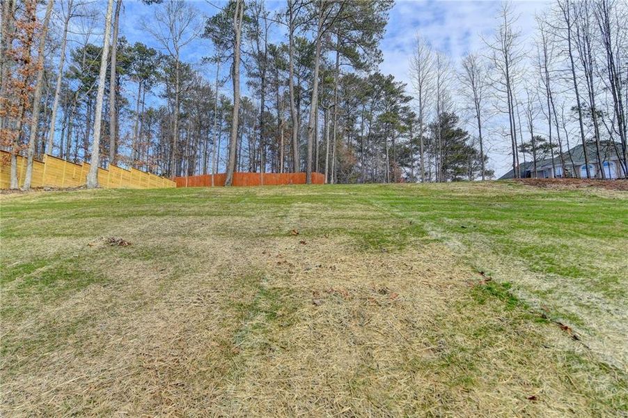 Natural landscape and outdoor views near  in Snellville (Image 62).
