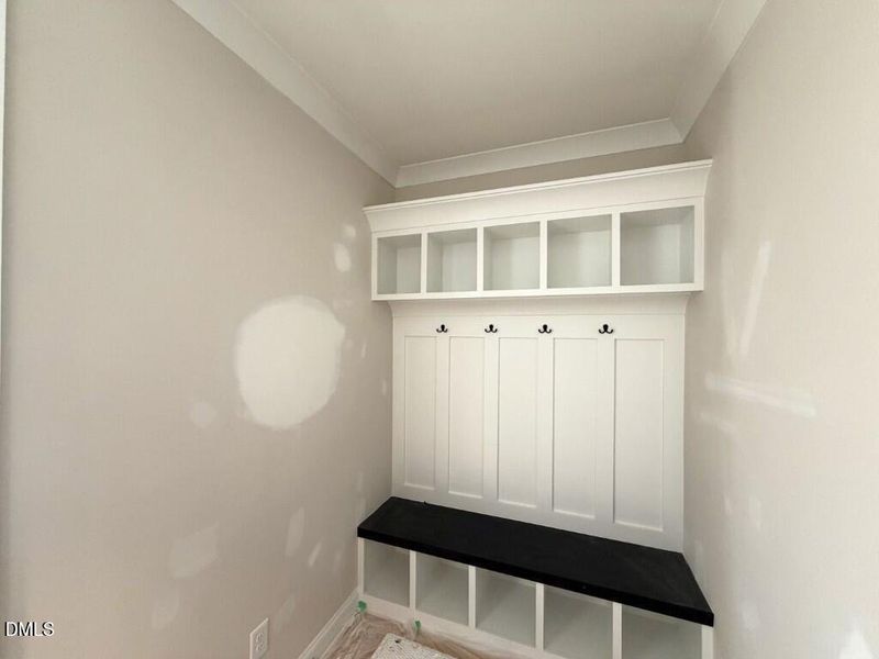 Photo Jan 16 2026, 11 50 07 AM (Medium)