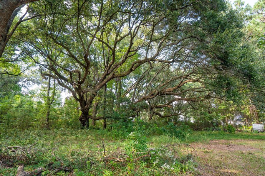 Natural landscape and outdoor views near  in Mount Pleasant (Image 11).