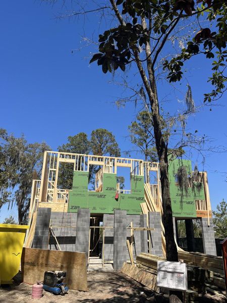 In-progress construction of a new home in The Preserve at Pennys Creek, Johns Island, SC (Image 38).