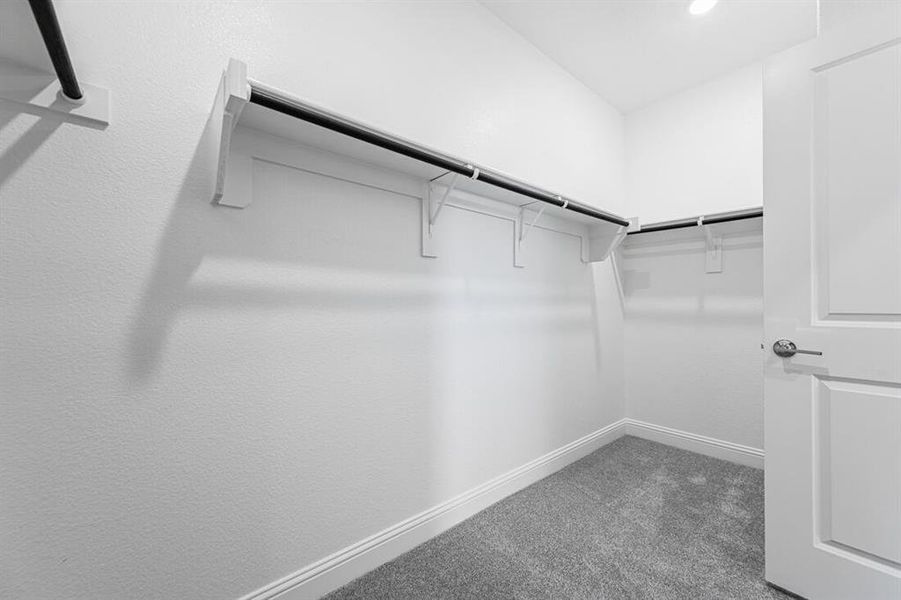 1425 Zapateado Way ~ Ready Now 1425 Zapateado Way ~ Ready Now