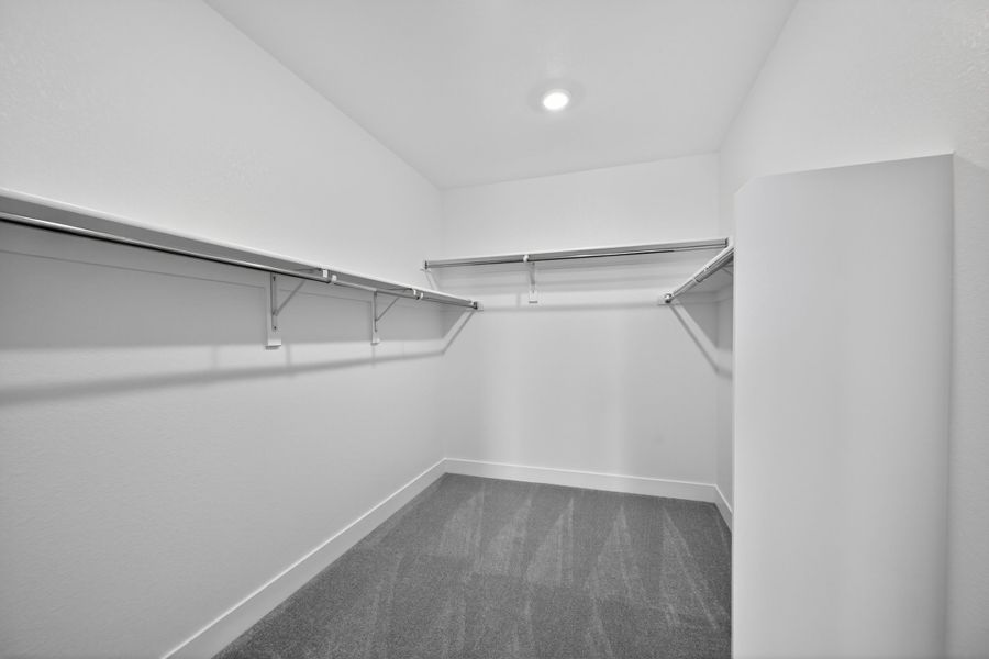 Spacious, unfurnished interior of a new home in Macanta, Castle Rock (Image 15).