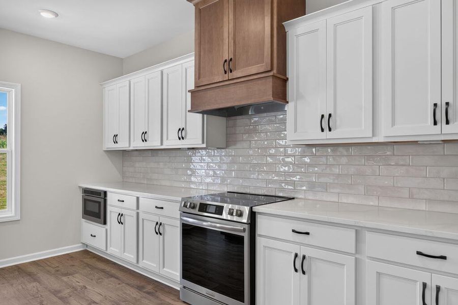 Furnished interior view inside a new home in Blackwelder Bluff, Bowdon (Image 14).