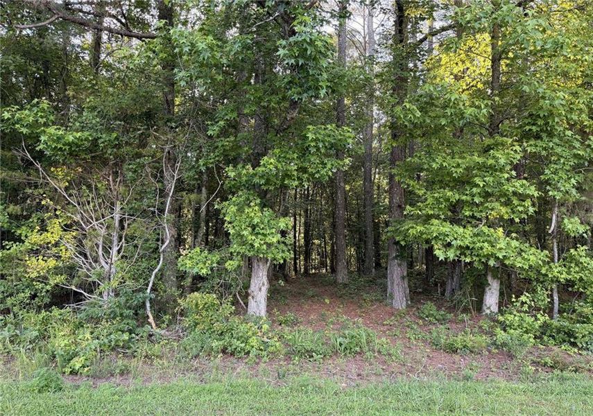 Natural landscape and outdoor views near in Buchanan (Image 23). Natural landscape and outdoor views near in Buchanan (Image 23).