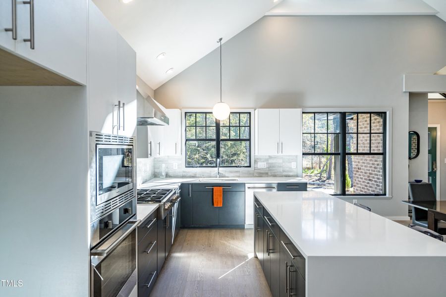 Sleek and Modern Kitchen