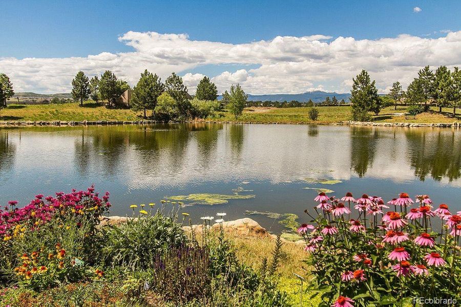 Castle Pines Village Pond