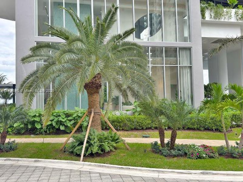 Natural landscape and outdoor views near in Miami (Image 79). Natural landscape and outdoor views near in Miami (Image 79).