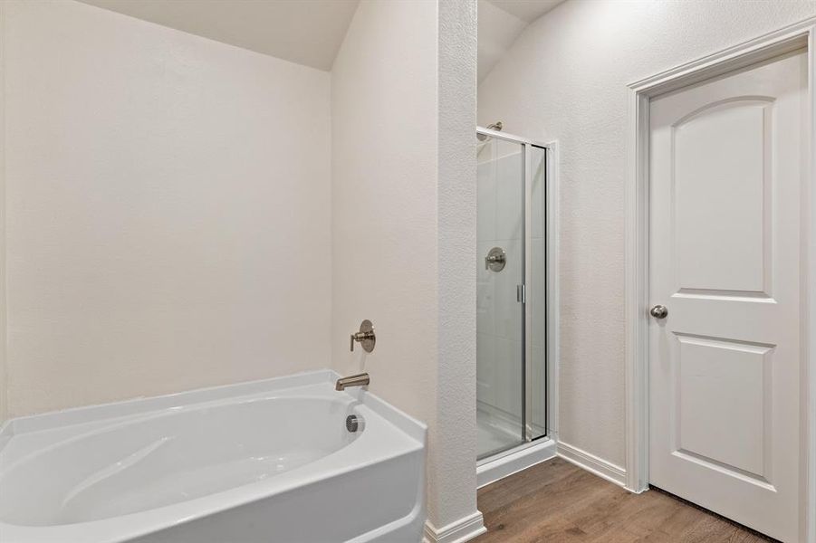 Bathroom with wood-style floors and shower with separate bathtub