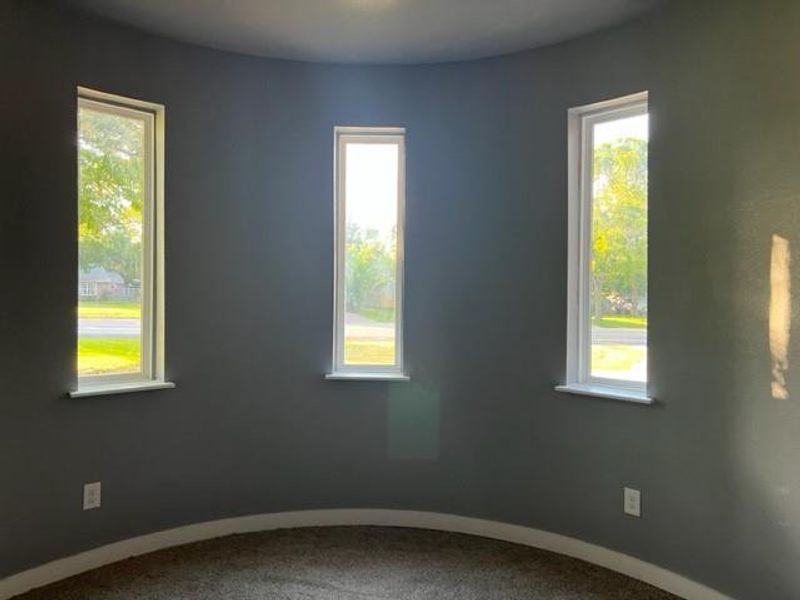 Empty room featuring a healthy amount of sunlight and carpet floors