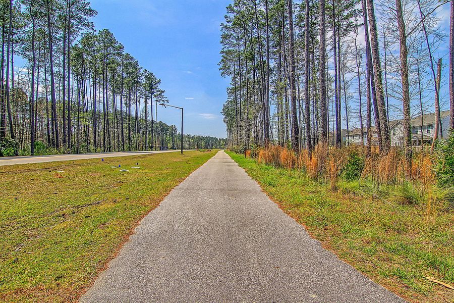 Natural landscape and outdoor views near in Summerville (Image 47). Natural landscape and outdoor views near in Summerville (Image 47).
