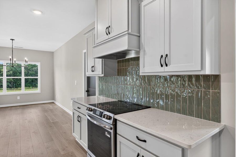 Furnished interior view inside a new home in Blackwelder Bluff, Bowdon (Image 9).