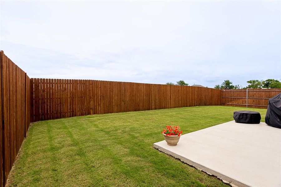 spacious and level backyard