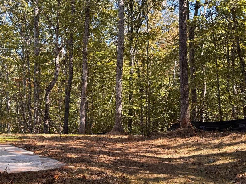 Natural landscape and outdoor views near  in Cleveland (Image 10).