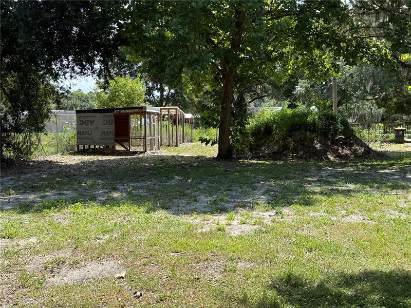 Natural landscape and outdoor views near  in Polk City (Image 24).