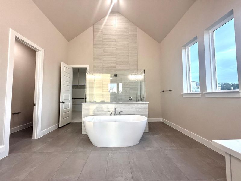 Bathroom with walk in shower, a freestanding tub, vanity, and high vaulted ceiling