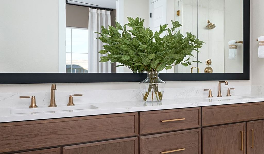 Darius-P786-PHX Bathroom