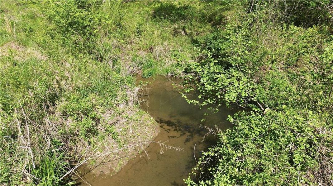 Natural landscape and outdoor views near  in Demorest (Image 61).