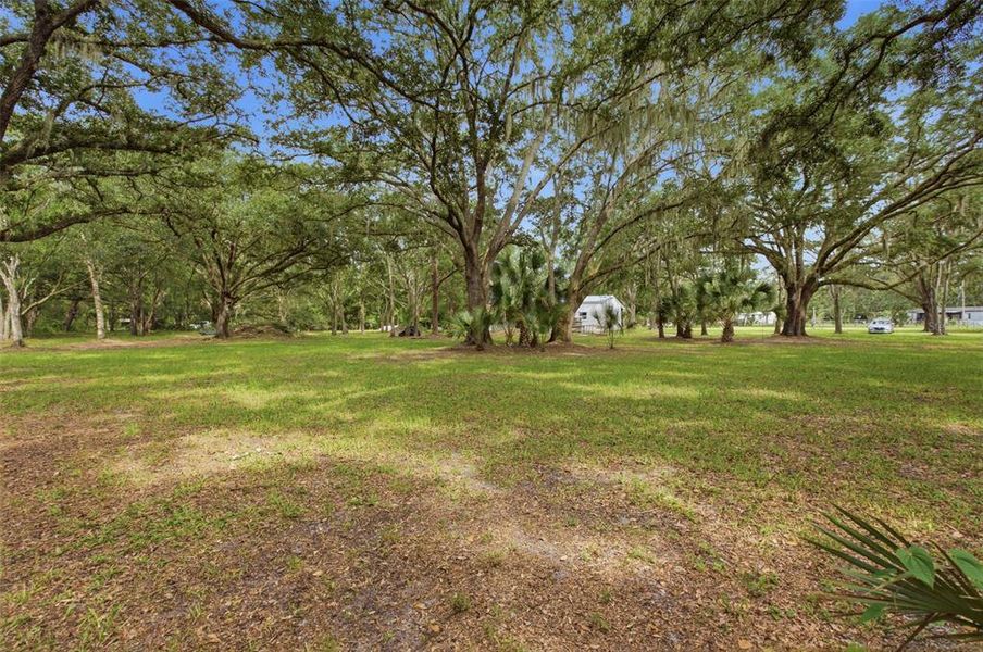 Natural landscape and outdoor views near in Orlando (Image 23). Natural landscape and outdoor views near in Orlando (Image 23).