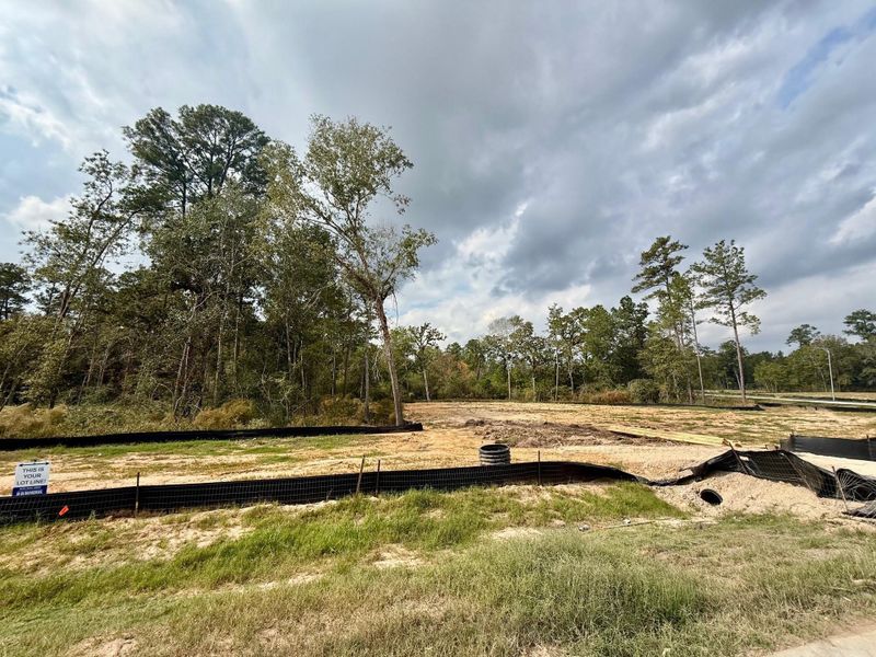 Site preparation for new homesites in Butlers Bend Estates, Pinehurst (Image 32).