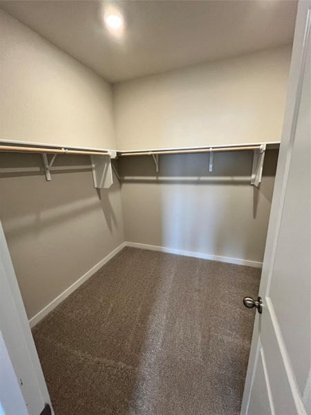 Walk-in Closet in Primary Bedroom Walk-in Closet in Primary Bedroom