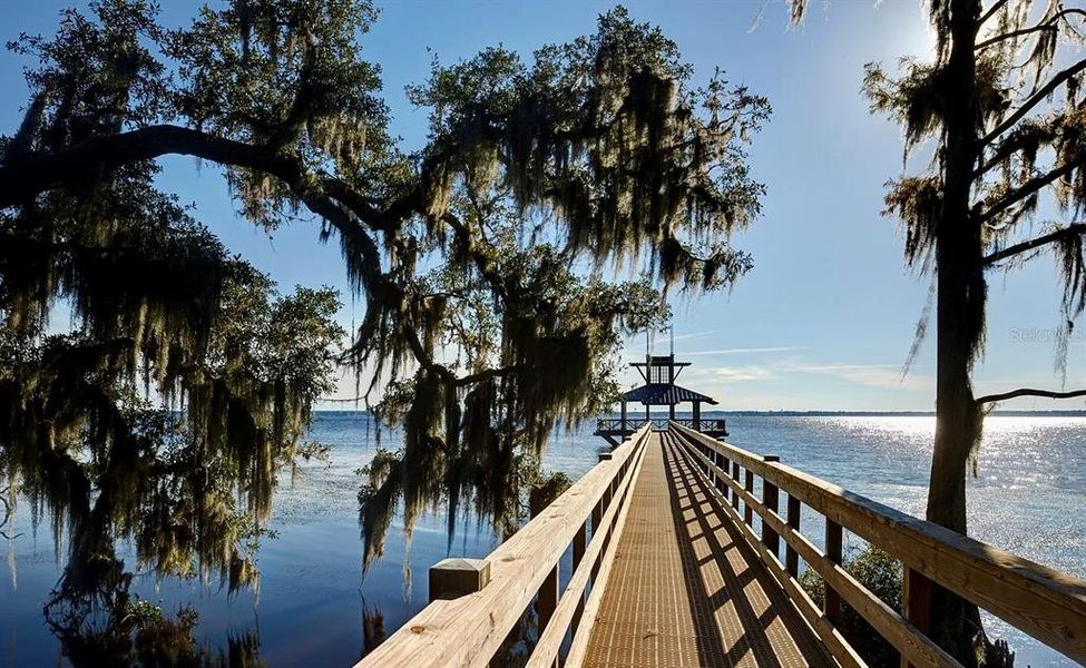 Natural landscape and outdoor views near  in St. Johns (Image 27).