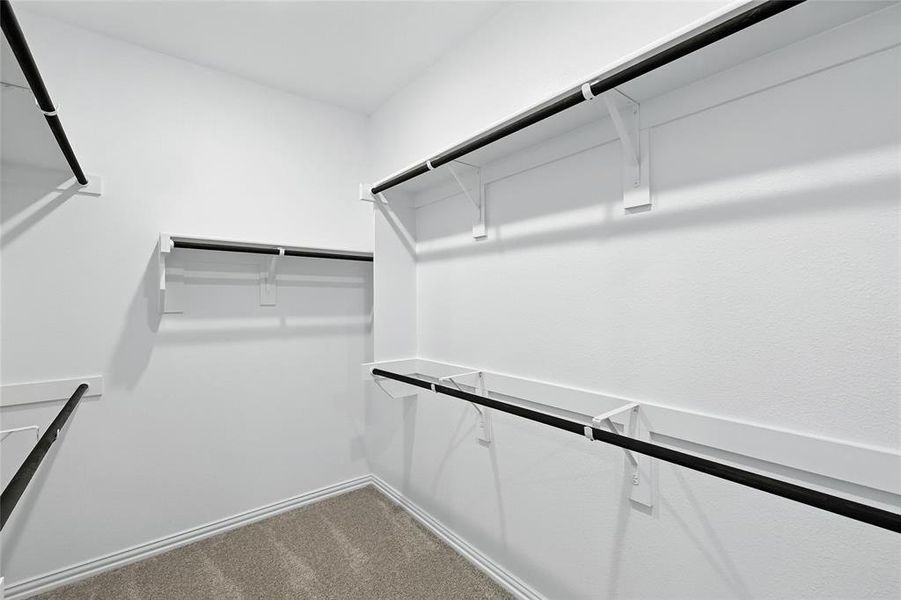 Walk in closet with carpet floors Walk in closet with carpet floors