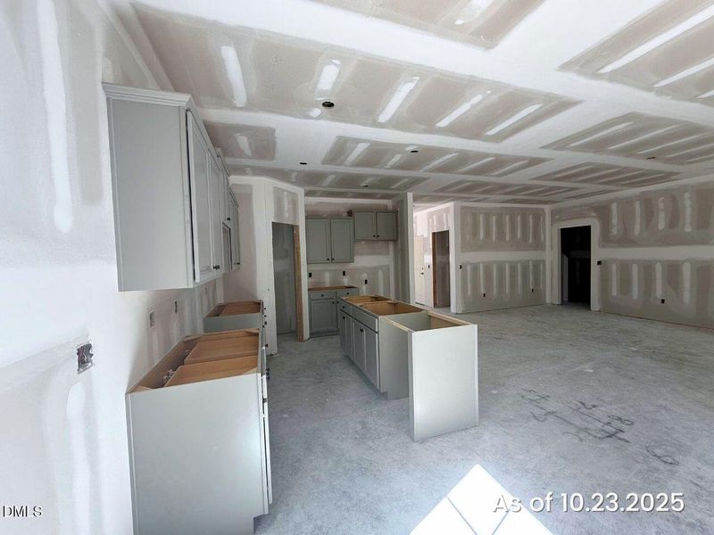 MLS 96 kitchen Regis