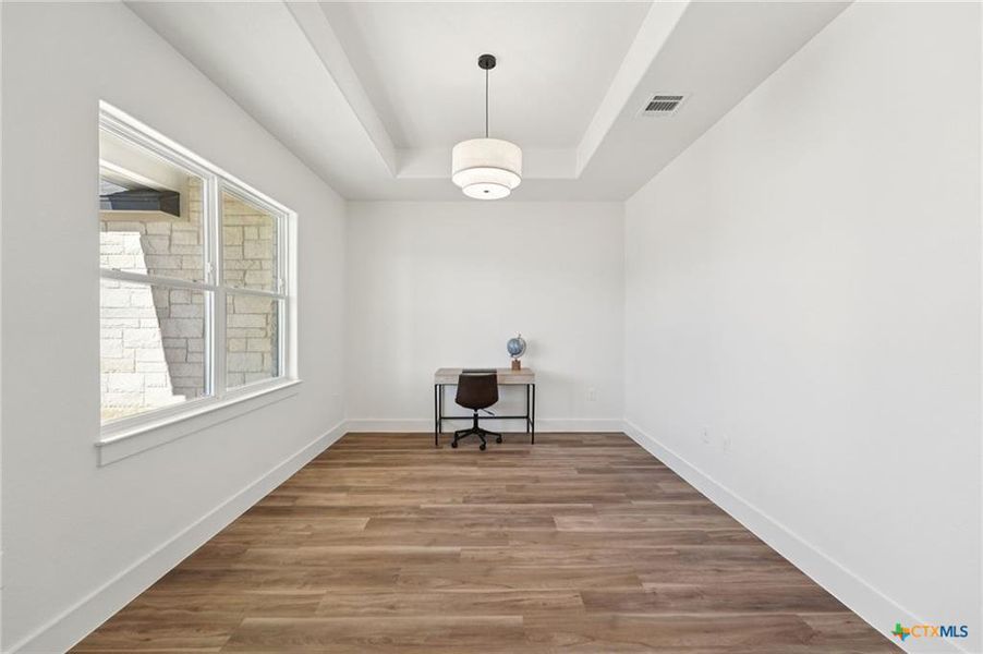 A well-lit, versatile room with tray ceilings and wood-look flooring, ideal for a home office. A well-lit, versatile room with tray ceilings and wood-look flooring, ideal for a home office.