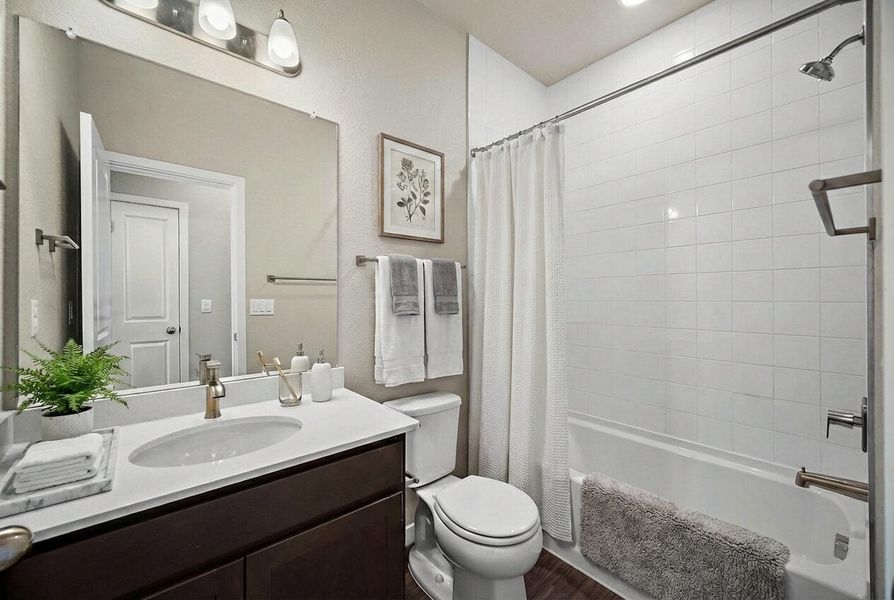 Furnished interior view inside a new home in Aspen Ranch, Fountain (Image 6).