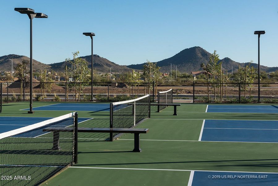 19-001-21 Pickle Ball