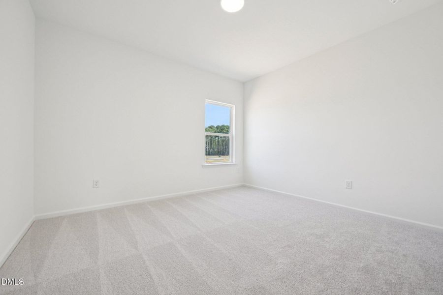 34-web-or-mls-N Stone Ml Trl-S2803-034