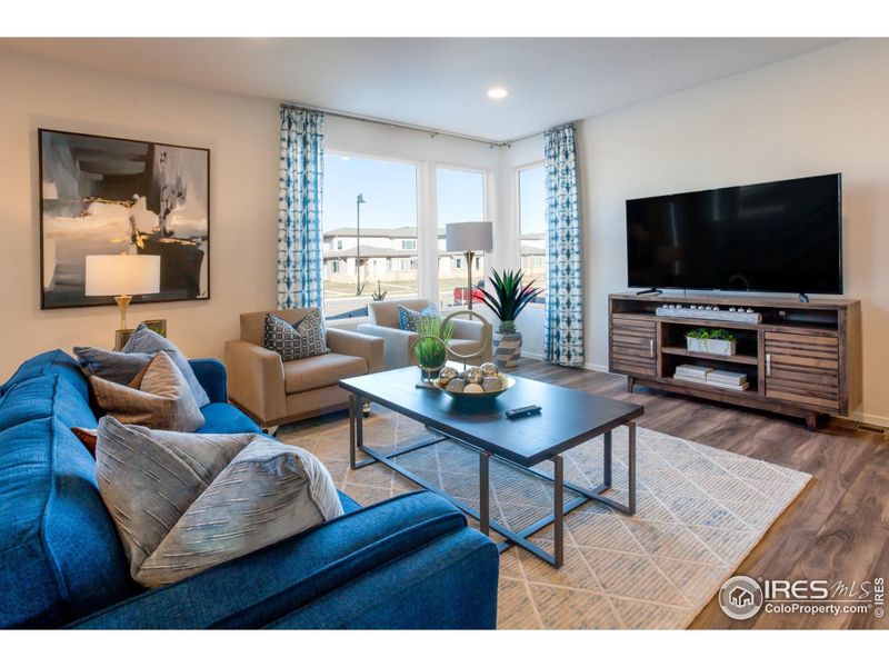 EXAMPLE PHOTO: LIVING ROOM