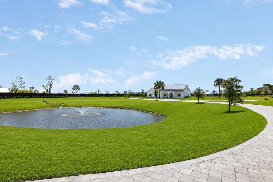 Front and pond Front and pond