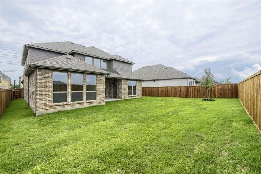Expansive green lawn with a newly installed wood fence Expansive green lawn with a newly installed wood fence