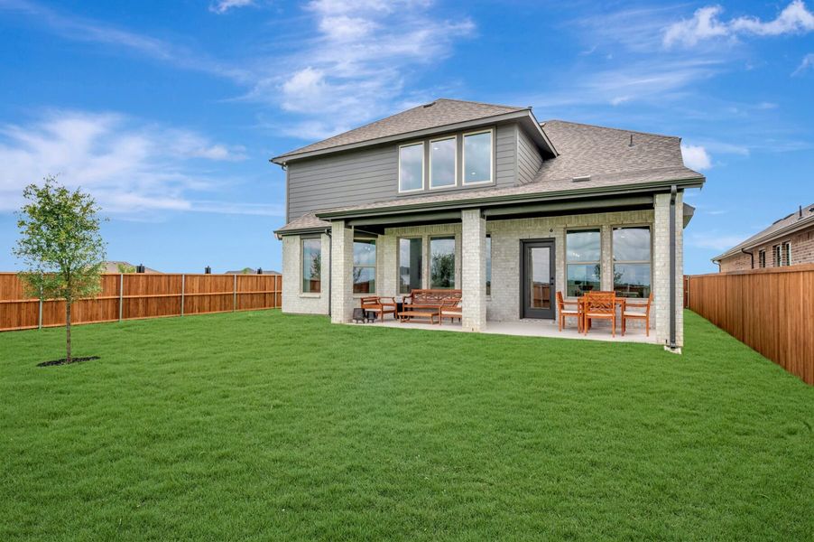 Backyard Backyard