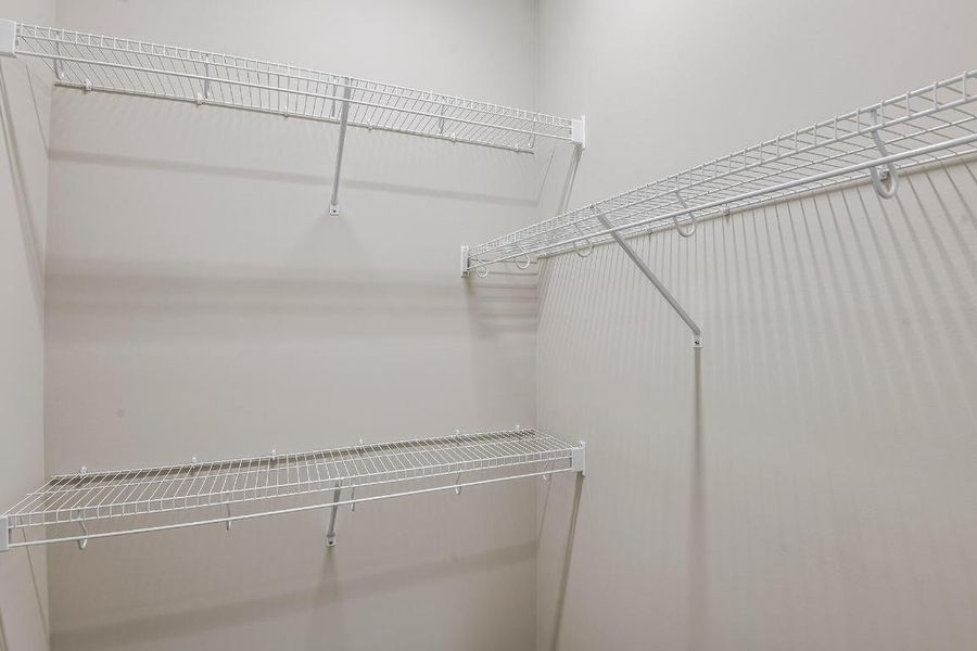 Lot-397-Marlberry-13861-Prickly-Cone-Cov Lot-397-Marlberry-13861-Prickly-Cone-Cov