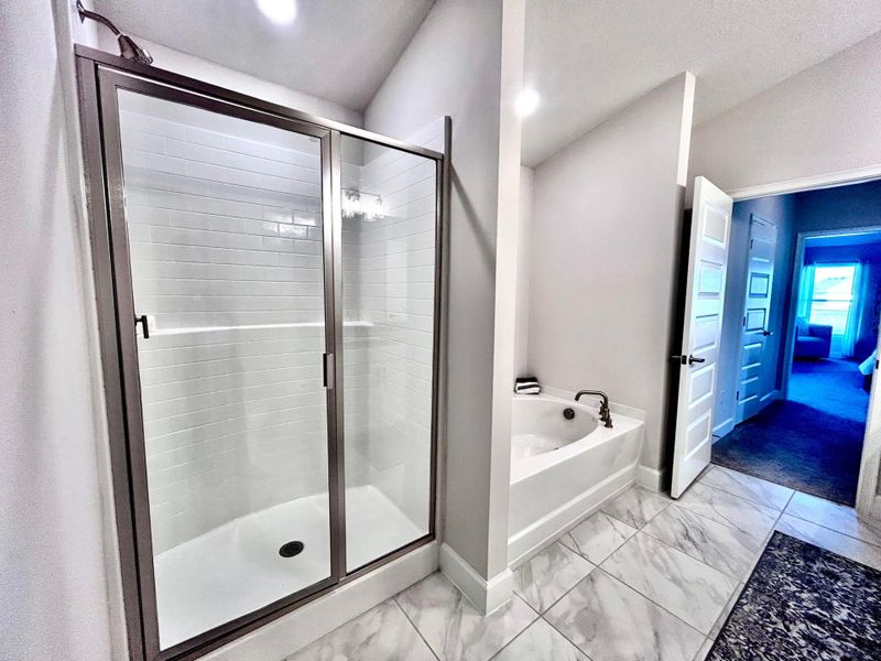 Sample picture Sample picture