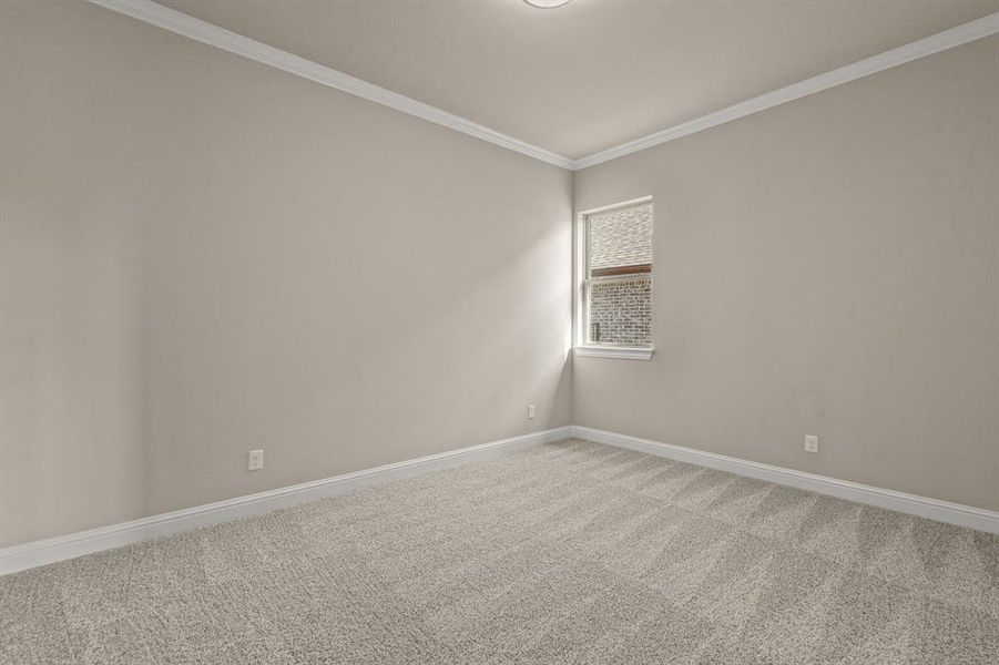 Carpeted spare room featuring baseboards and ornamental molding