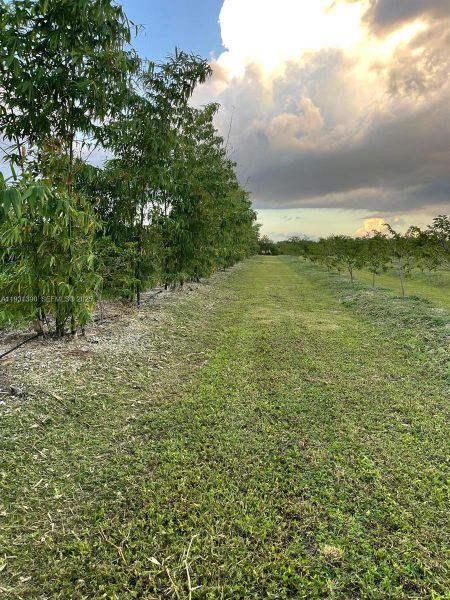 Natural landscape and outdoor views near  in Homestead (Image 7).