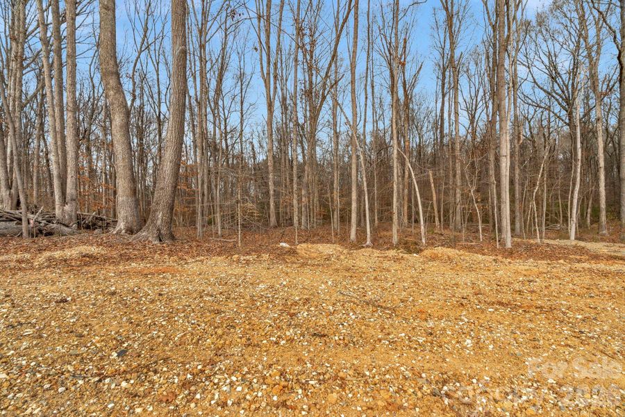 Natural landscape and outdoor views near  in Waxhaw (Image 26).