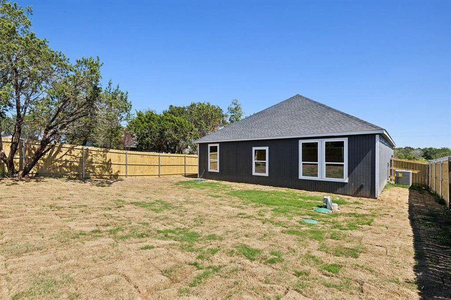 Large backyard, perfect for dog lovers and hangouts!